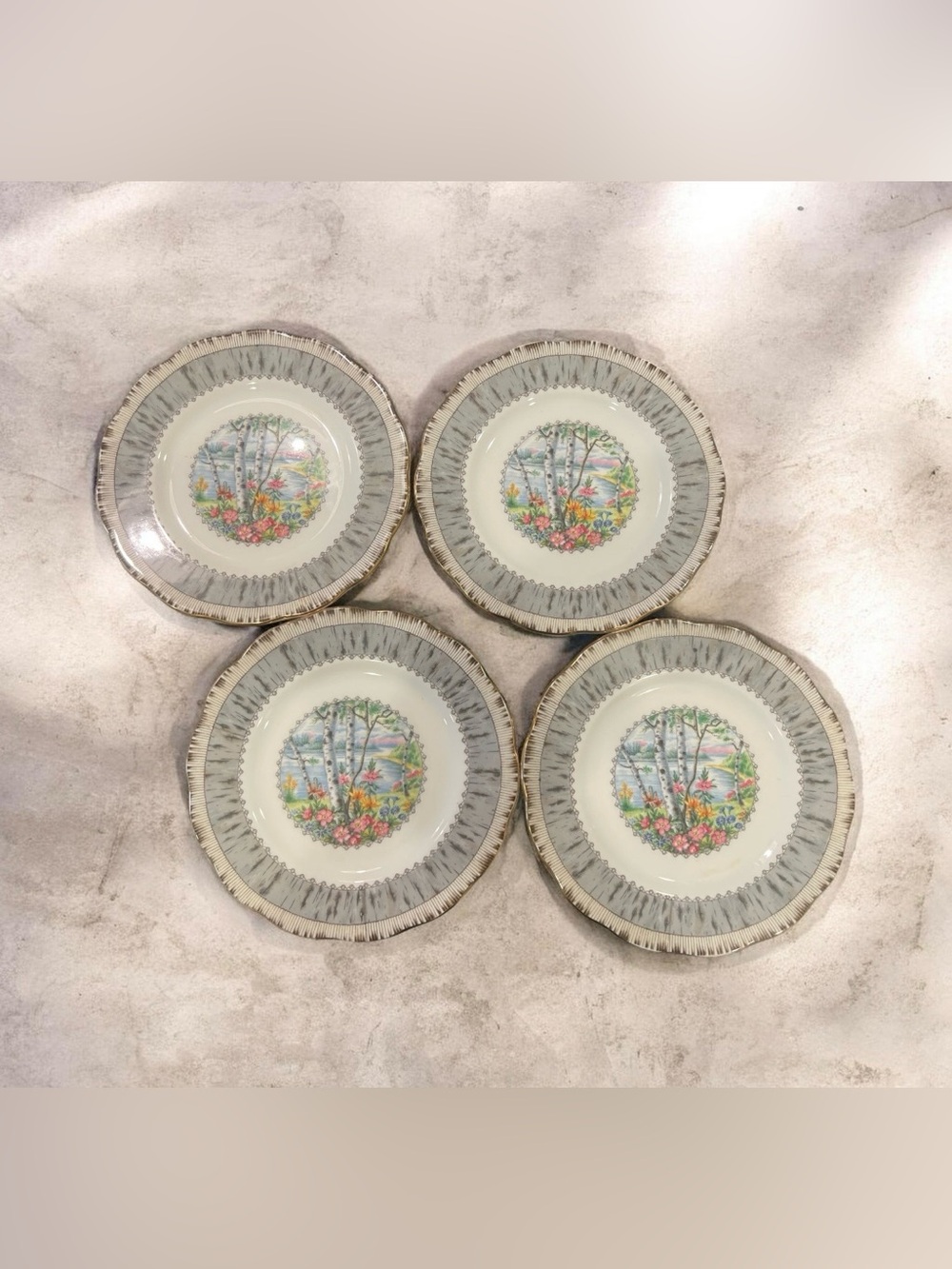 4 Vintage Royal Albert Silver Birch desert Plate..